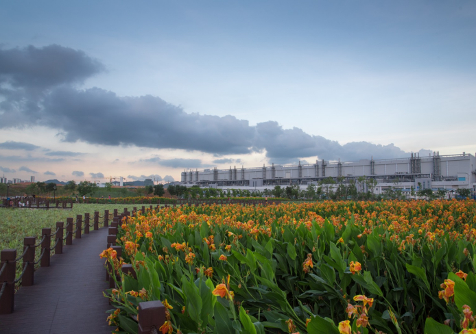 TCL CSOT constructed wetland