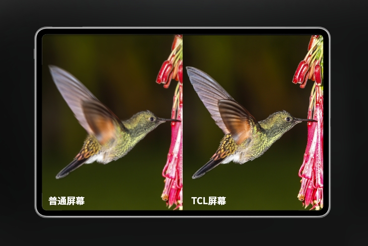  High definition and high refresh display